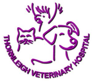 Listing Logo