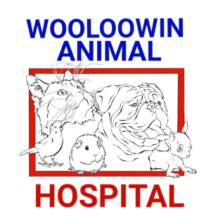 Listing Logo