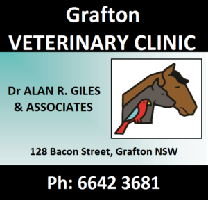 Listing Logo