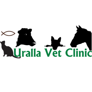 Listing Logo