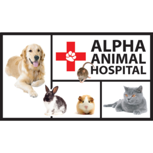 Listing Logo