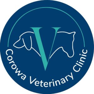 Listing Logo