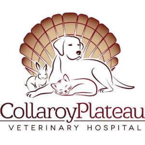 Listing Logo