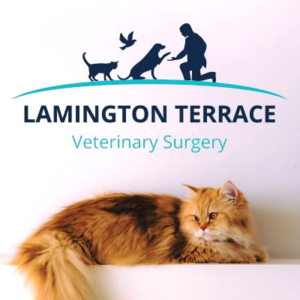 Listing Logo
