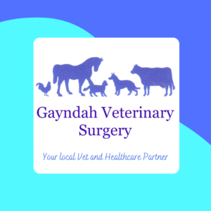 Listing Logo